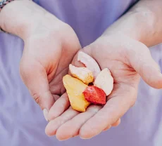 lyofilizované ovoce, oříšky, mix oříšků, mix ovoce, jahody, mango, banány, ananas, kokos, svět plodů