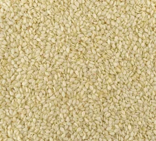 sezam, sezam loupaný, semínka, svět plodů sezam, sezam loupaný, semínka, svět plodů