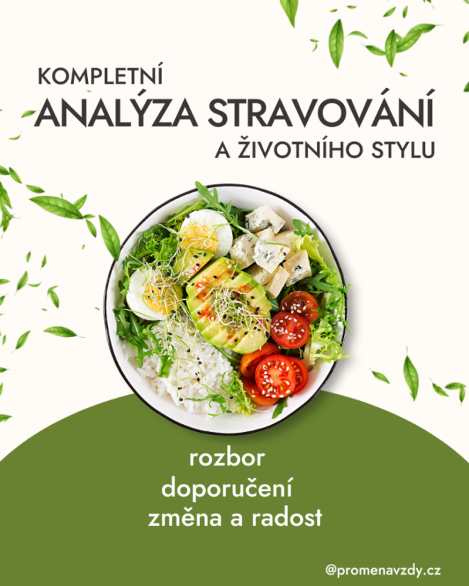 Kompetní analýza jídelníčku a životního stylu