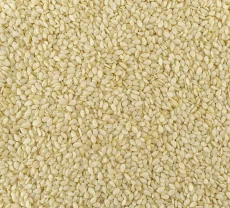 sezam, sezam loupaný, semínka, svět plodů